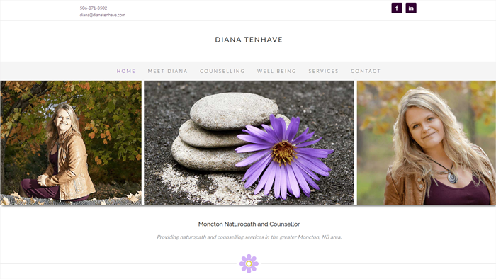Diana desktop website