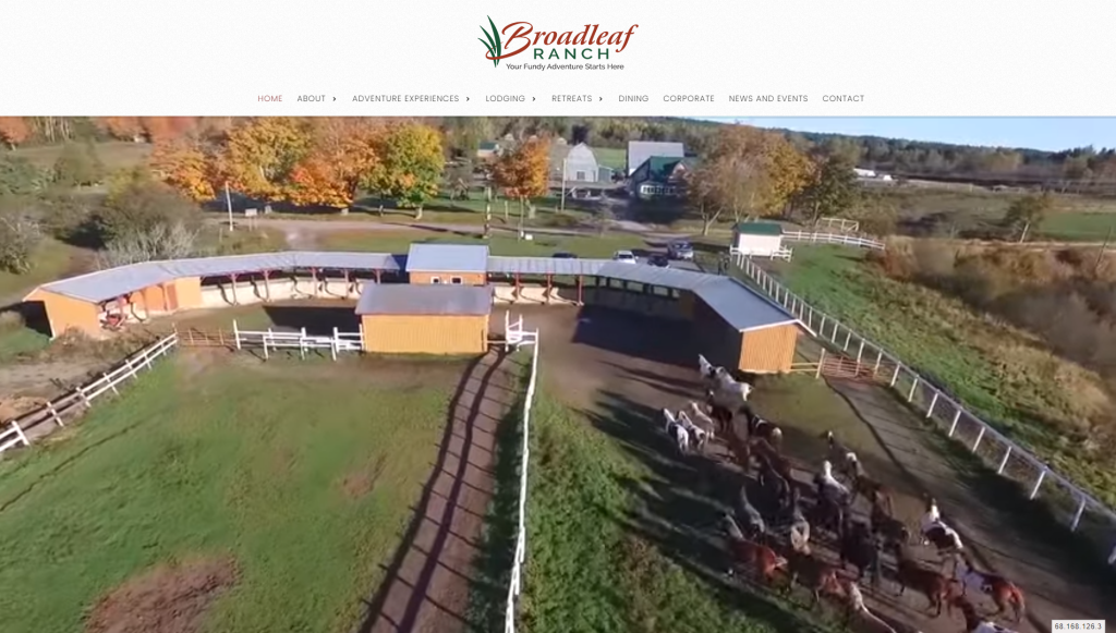 Broadleaf Ranch Website